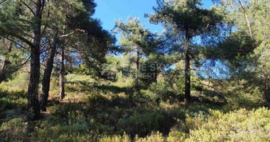 Land For Sale In Pera Pedi Limassol Cyprus