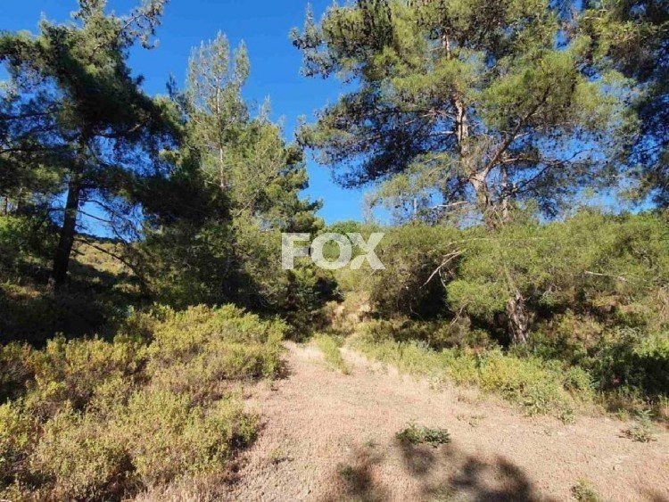 Plot of land for sale 16389 m² in Pera Pedi, Limassol, Cyprus