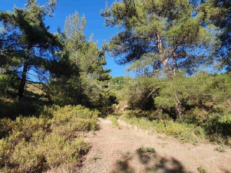 Land For Sale In Pera Pedi Limassol Cyprus