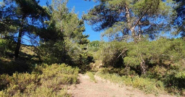 Land For Sale In Pera Pedi Limassol Cyprus