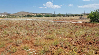 Plot For Sale In Anarita Paphos Cyprus