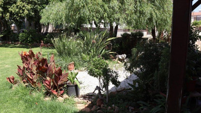 Plot For Sale In Zakaki Limassol Cyprus