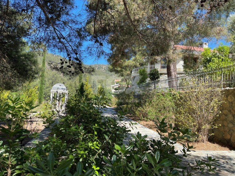 Luxury Viila with guest house in Moniatis with its own private grounds of landscaped gardens engulfed by forest trees.