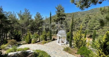 Luxury Viila with guest house in Moniatis with its own private grounds of landscaped gardens engulfed by forest trees.
