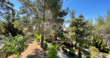 Luxury Viila with guest house in Moniatis with its own private grounds of landscaped gardens engulfed by forest trees.