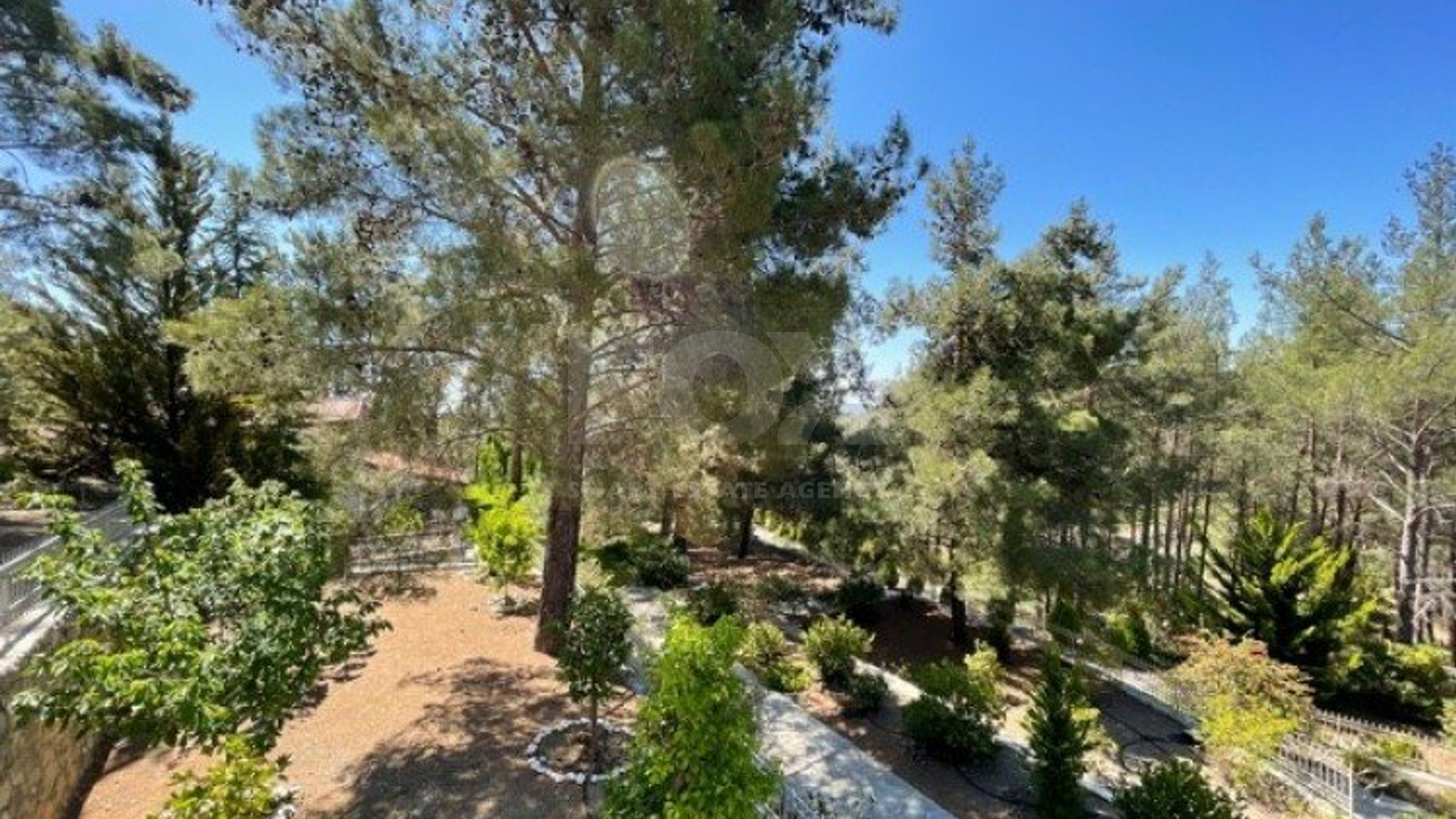 Luxury Viila with guest house in Moniatis with its own private grounds of landscaped gardens engulfed by forest trees.