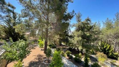 Luxury Viila with guest house in Moniatis with its own private grounds of landscaped gardens engulfed by forest trees.