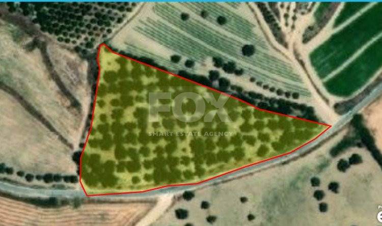 Land For Sale In Chrysochou Paphos Cyprus