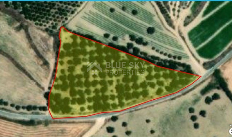 Land For Sale In Chrysochou Paphos Cyprus