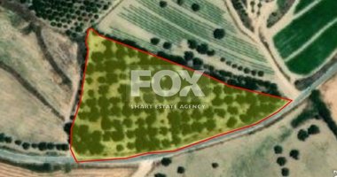 Land For Sale In Chrysochou Paphos Cyprus