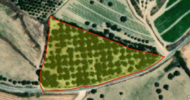 Land For Sale In Chrysochou Paphos Cyprus