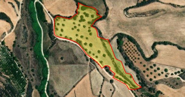Land For Sale In Steni Paphos Cyprus