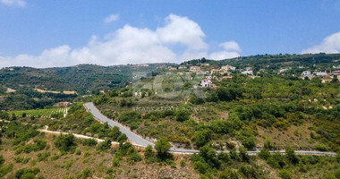 Plot For Sale In Theletra Paphos Cyprus