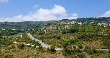 Plot For Sale In Theletra Paphos Cyprus