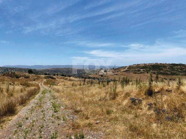 Land For Sale In Anarita Paphos Cyprus