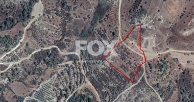 Land For Sale In Kynousa Paphos Cyprus