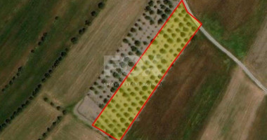 Land For Sale In Konia Paphos Cyprus