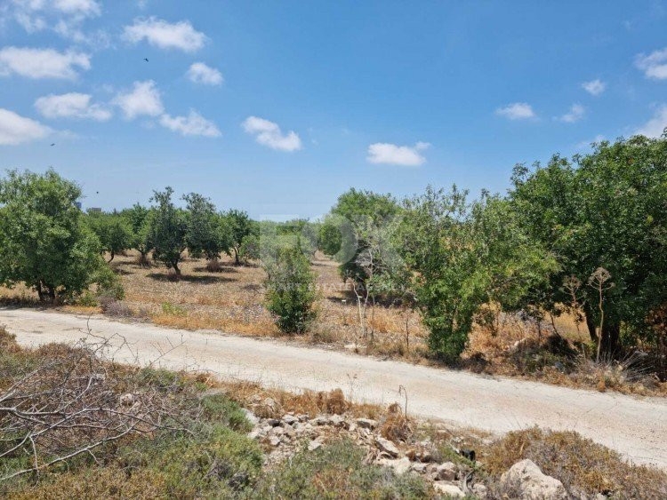 Land For Sale In Konia Paphos Cyprus