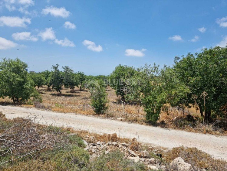 Land For Sale In Konia Paphos Cyprus