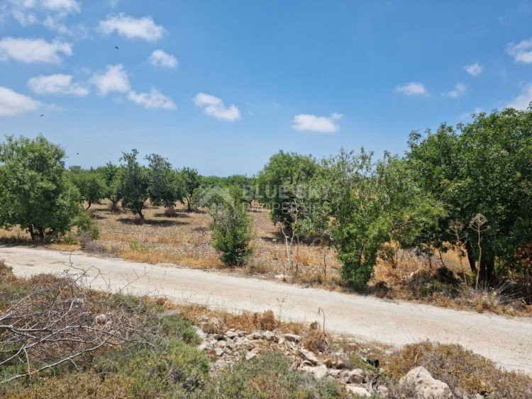 Land For Sale In Konia Paphos Cyprus