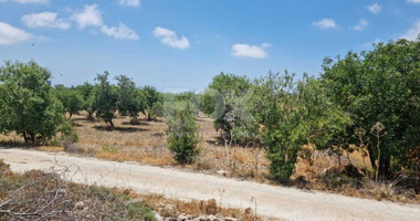 Land For Sale In Konia Paphos Cyprus