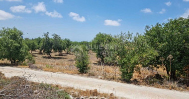 Land For Sale In Konia Paphos Cyprus