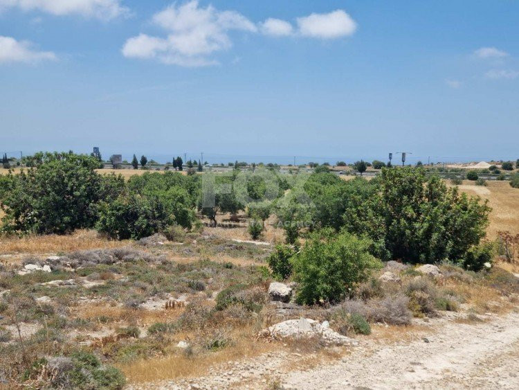 Land For Sale In Konia Paphos Cyprus