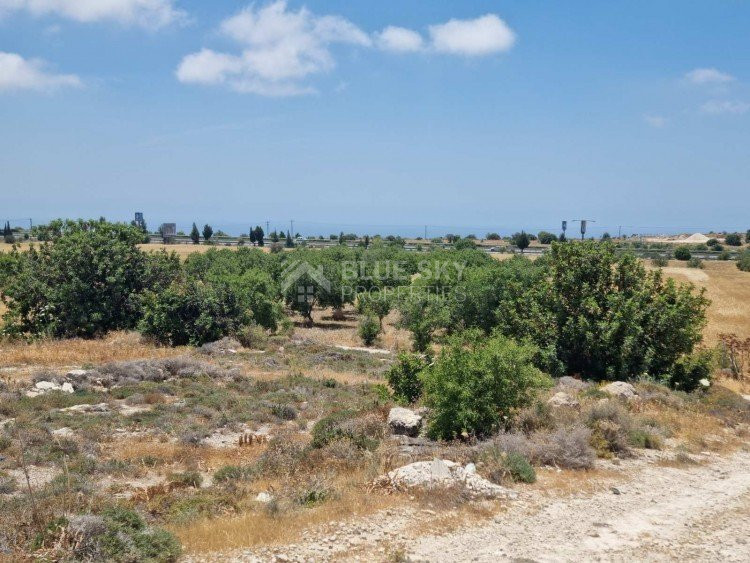 Land For Sale In Konia Paphos Cyprus