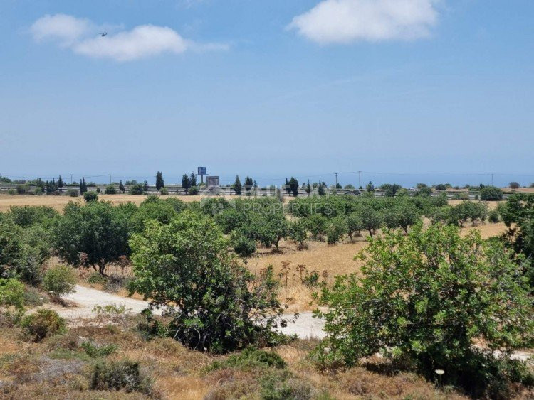 Land For Sale In Konia Paphos Cyprus