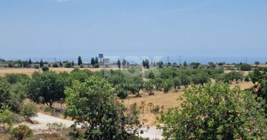 Land For Sale In Konia Paphos Cyprus