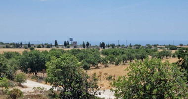 Land For Sale In Konia Paphos Cyprus