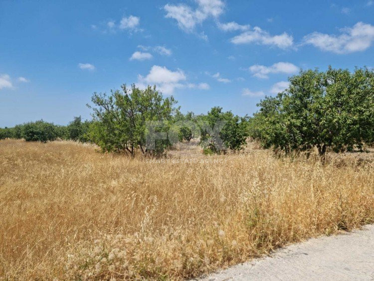 Land For Sale In Konia Paphos Cyprus