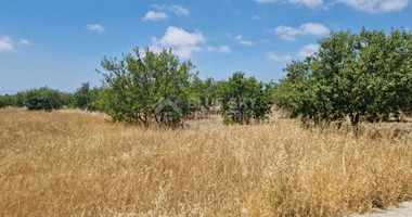 Land For Sale In Konia Paphos Cyprus