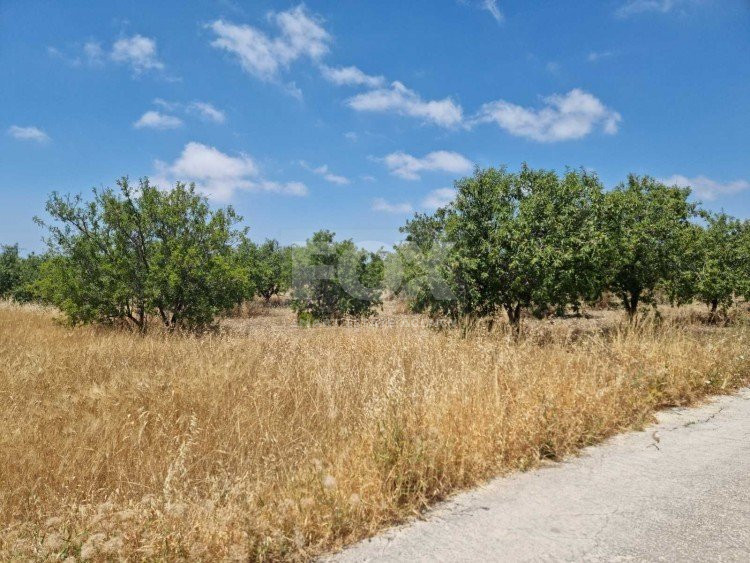 Land For Sale In Konia Paphos Cyprus