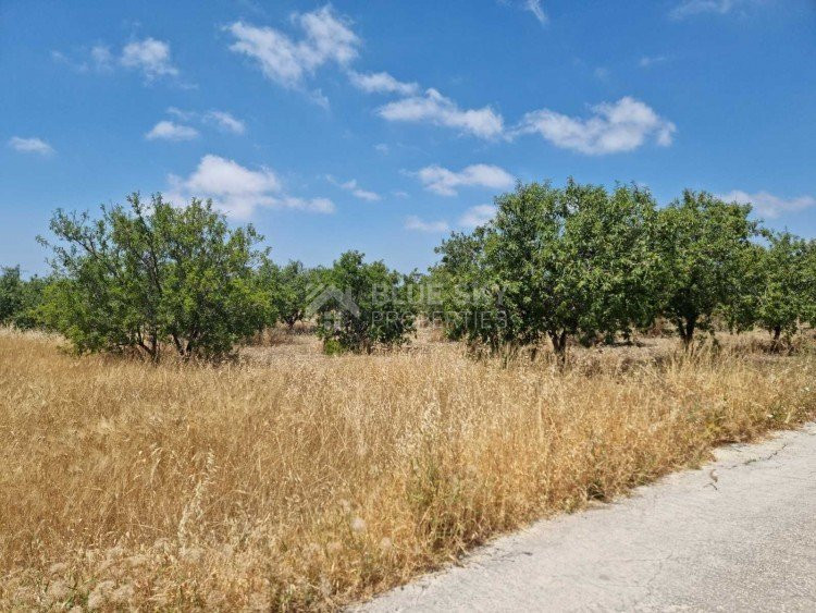 Land For Sale In Konia Paphos Cyprus