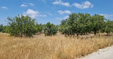 Land For Sale In Konia Paphos Cyprus