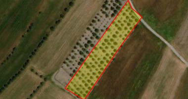 Land For Sale In Konia Paphos Cyprus