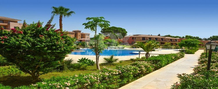 3 Bed House For Sale In Kato Pafos Paphos Cyprus