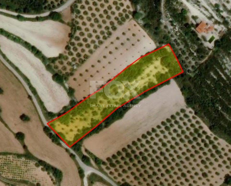 Land For Sale In Armou Paphos Cyprus