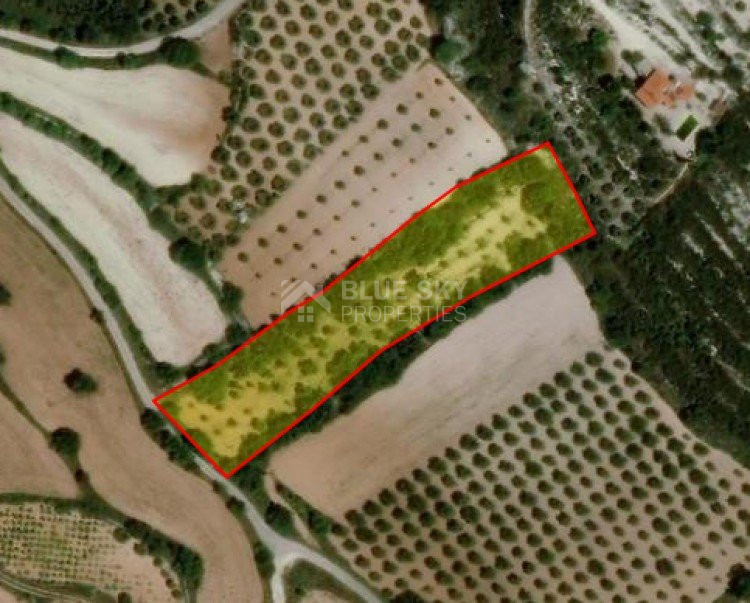 Land For Sale In Armou Paphos Cyprus