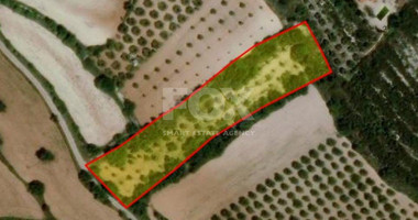 Land For Sale In Armou Paphos Cyprus