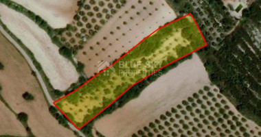 Land For Sale In Armou Paphos Cyprus