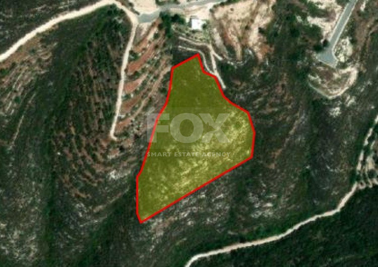 Land For Sale In Tsada Paphos Cyprus