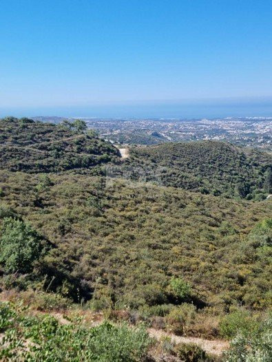 Land For Sale In Tsada Paphos Cyprus