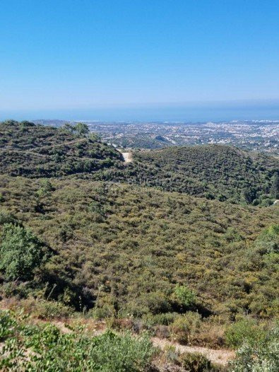 Land For Sale In Tsada Paphos Cyprus