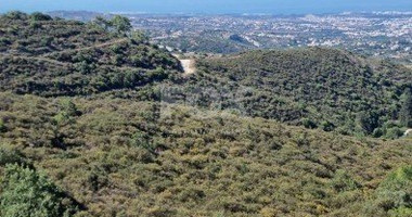 Land For Sale In Tsada Paphos Cyprus