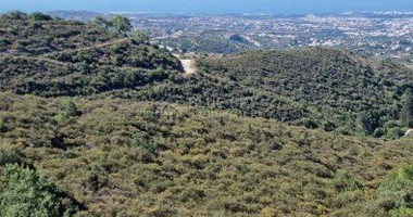 Land For Sale In Tsada Paphos Cyprus