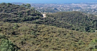 Land For Sale In Tsada Paphos Cyprus