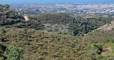 Land For Sale In Tsada Paphos Cyprus