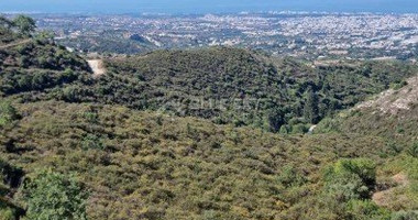 Land For Sale In Tsada Paphos Cyprus